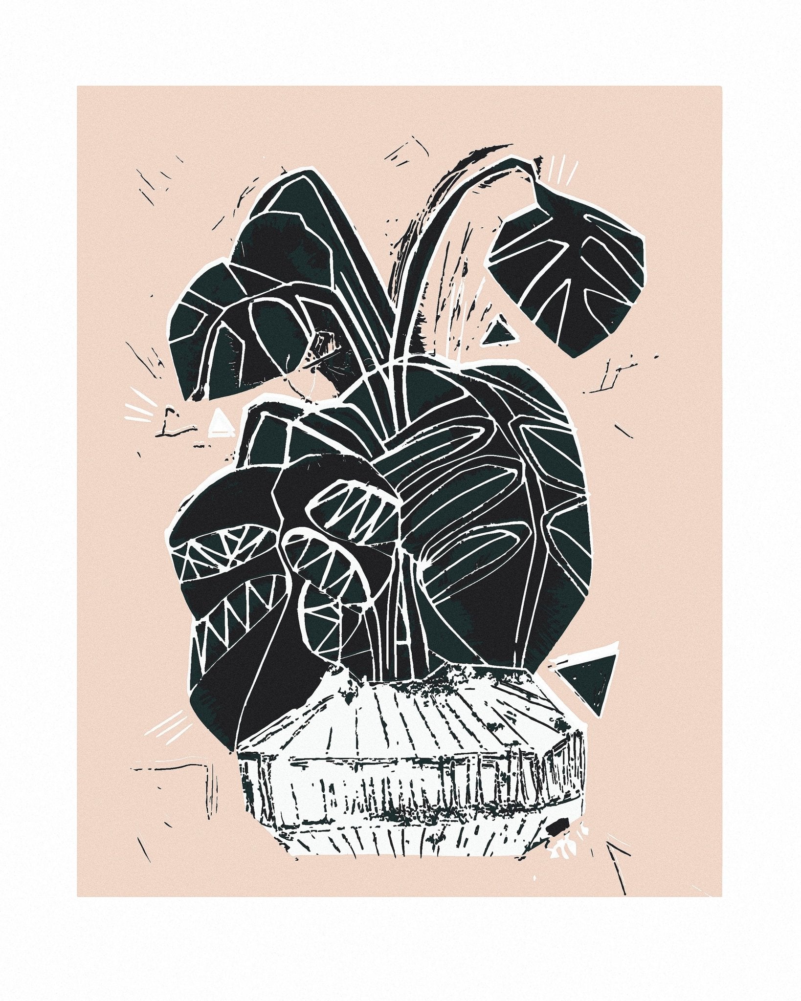 Monstera Plant Sketch