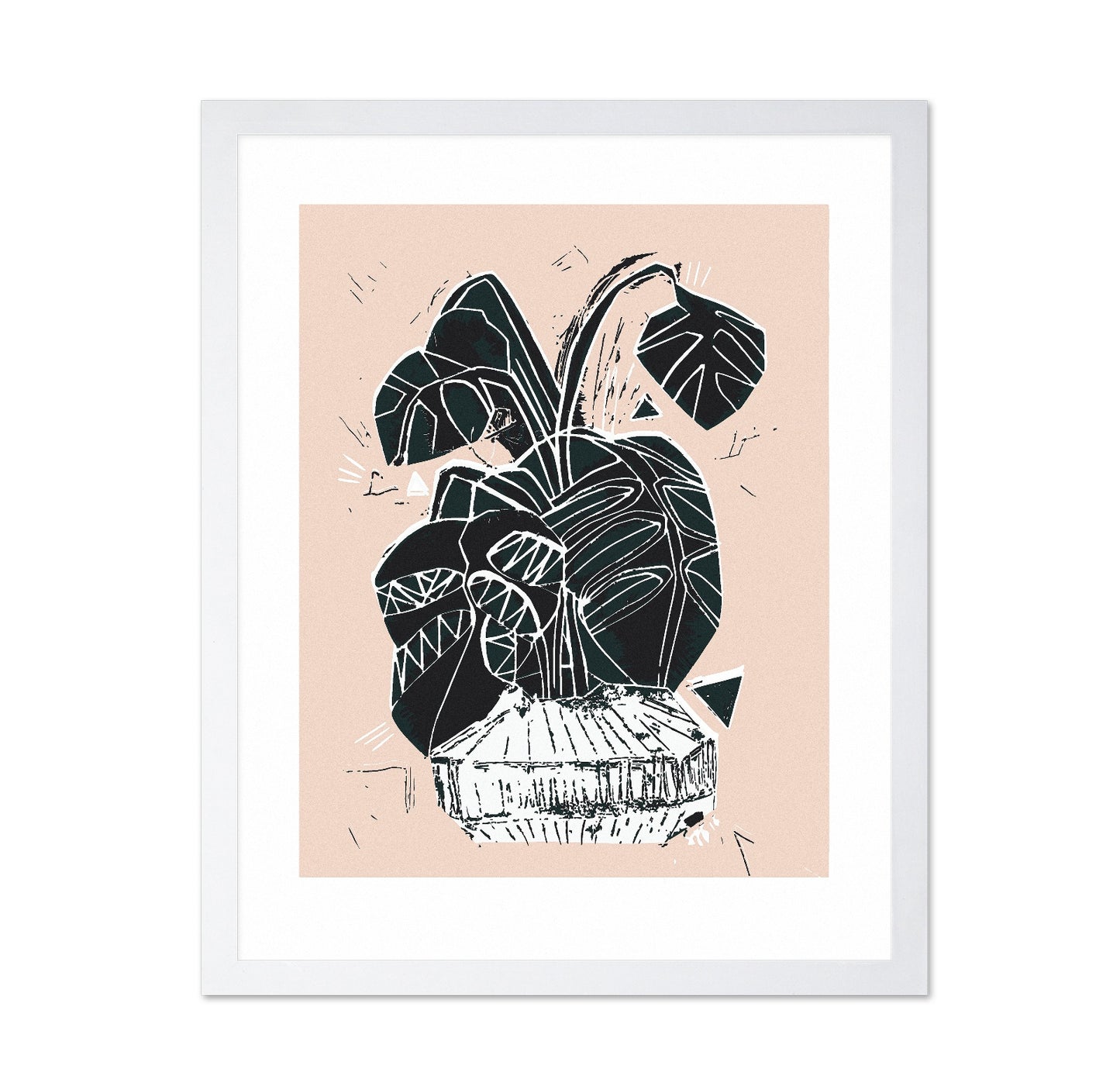 Monstera Plant Sketch
