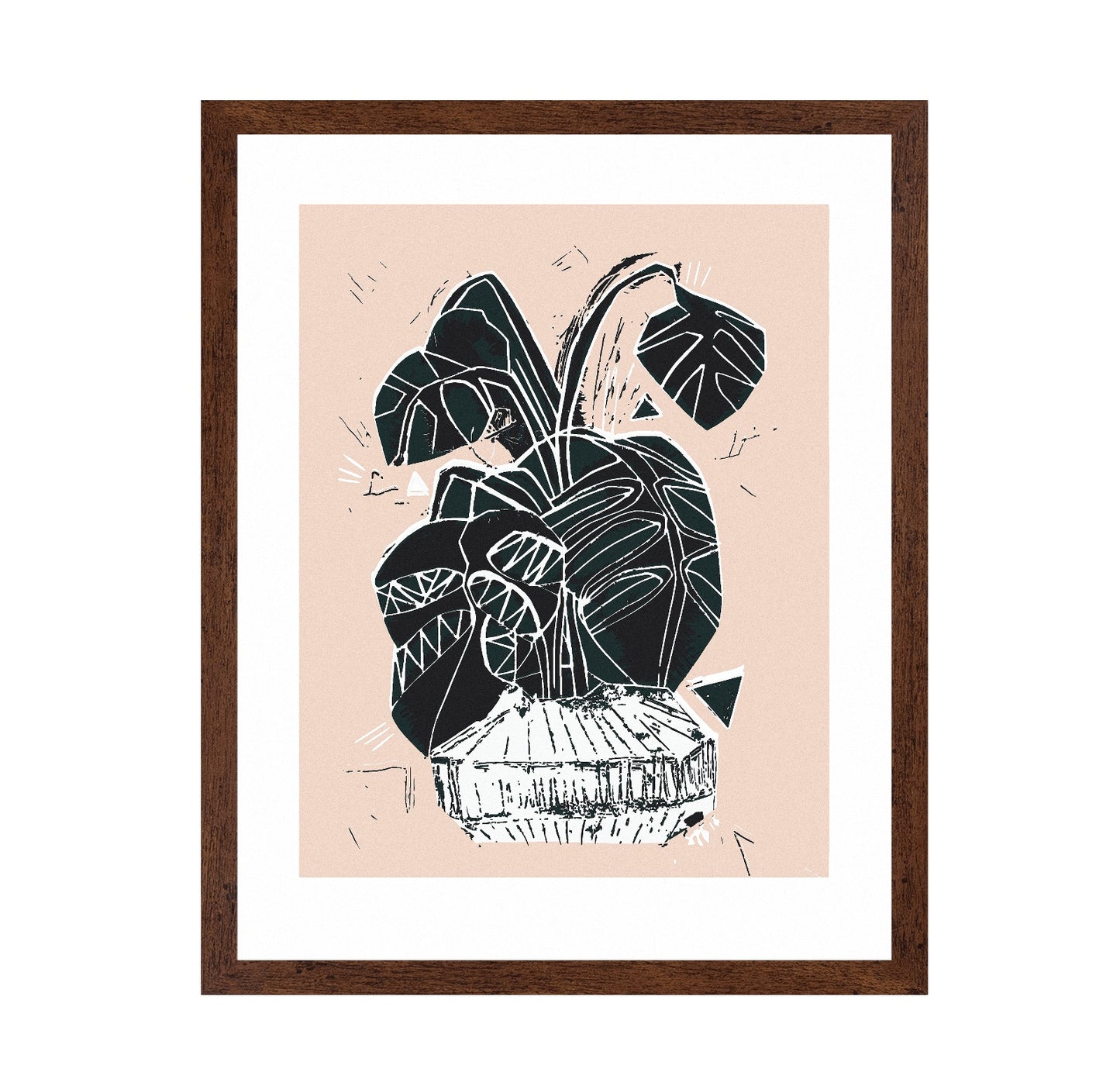 Monstera Plant Sketch