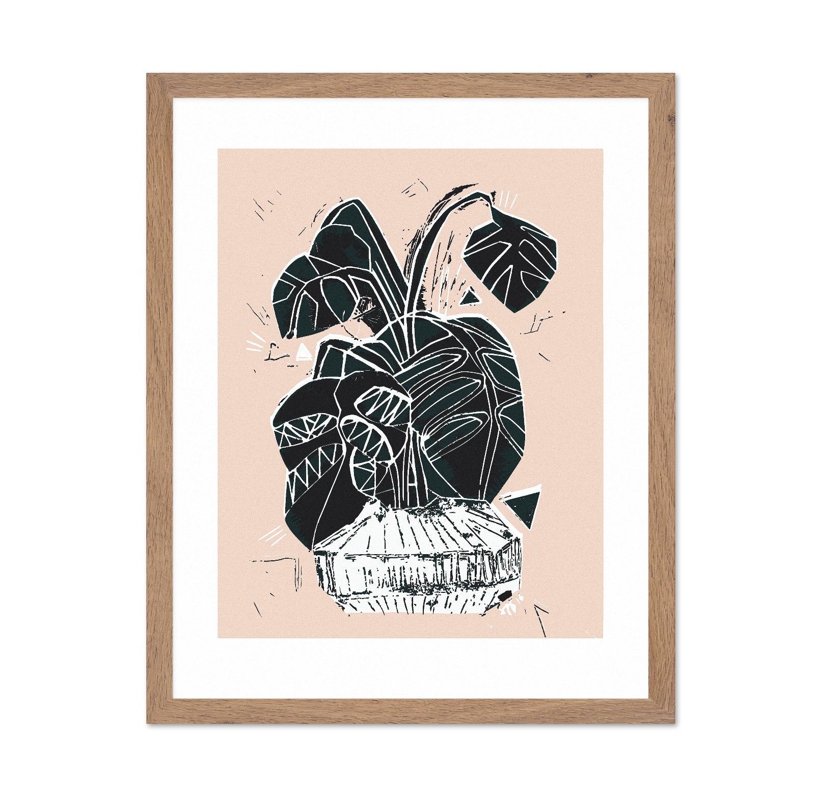 Monstera Plant Sketch