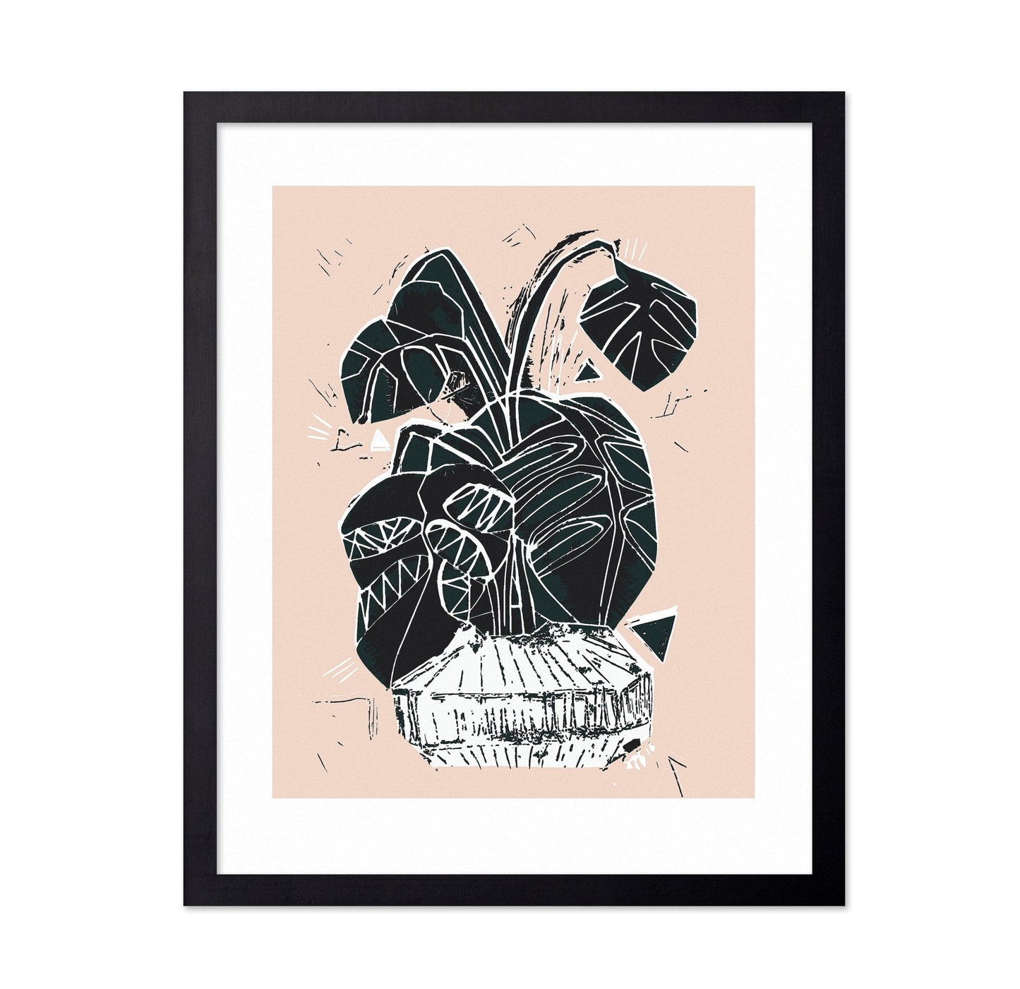 Monstera Plant Sketch