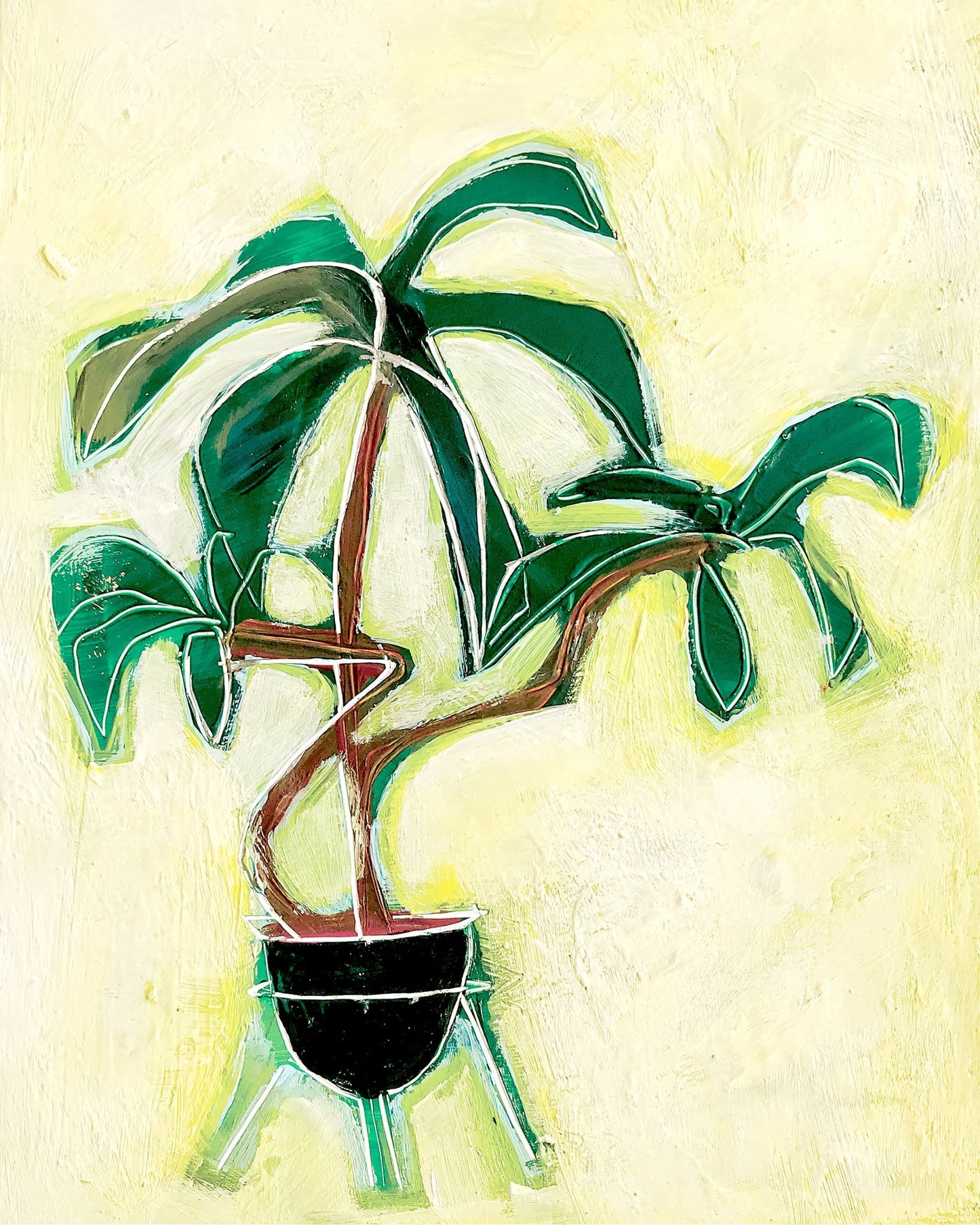 Modern Plant Study
