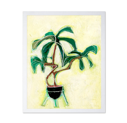 Modern Plant Study
