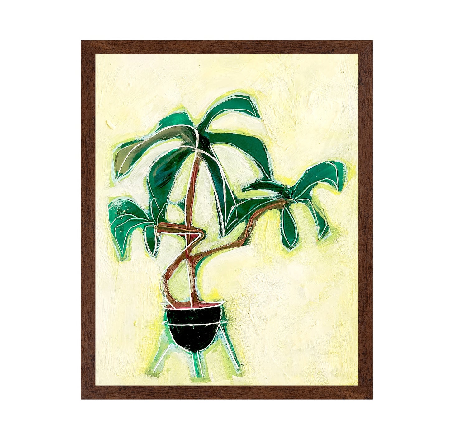 Modern Plant Study