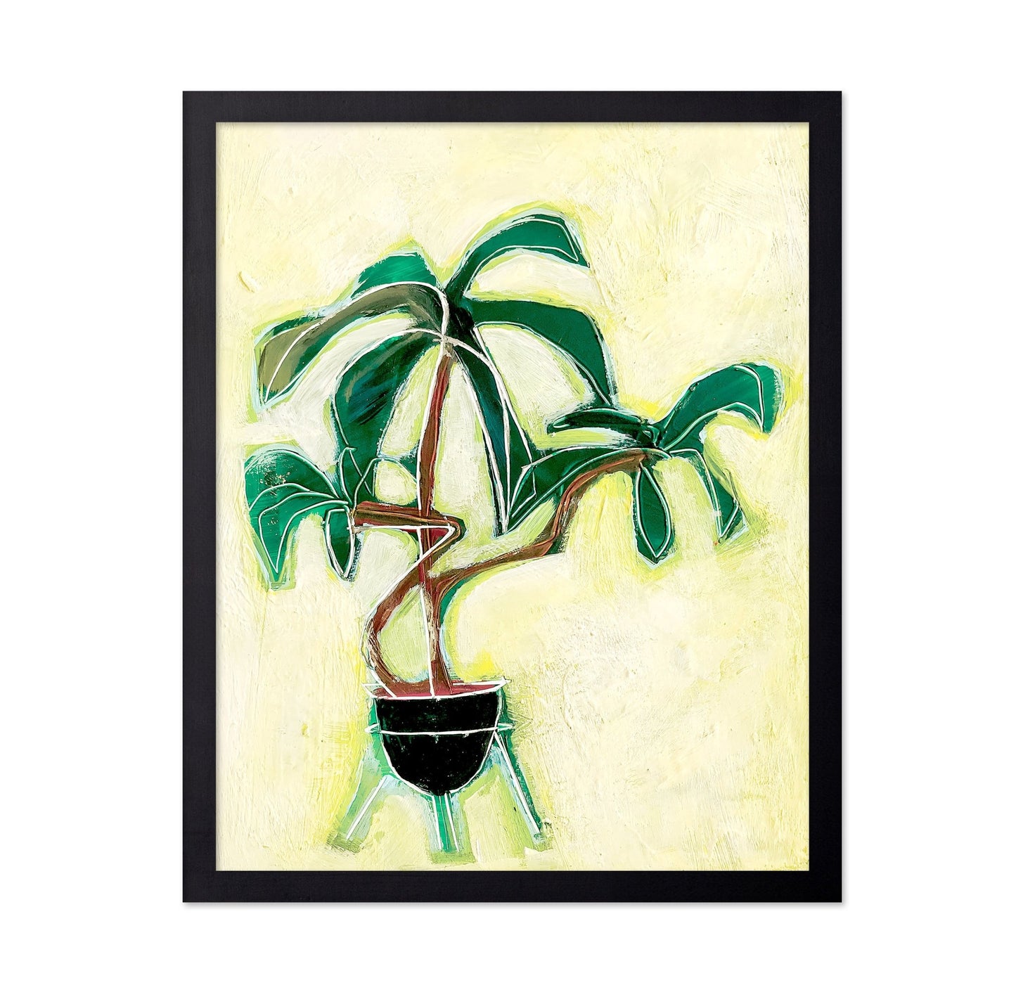 Modern Plant Study