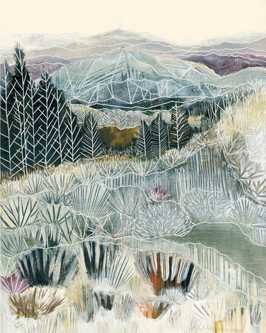 Winter Forest Hills