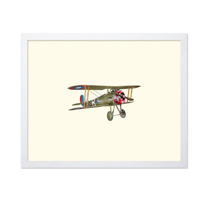 Vintage Biplane Aircraft