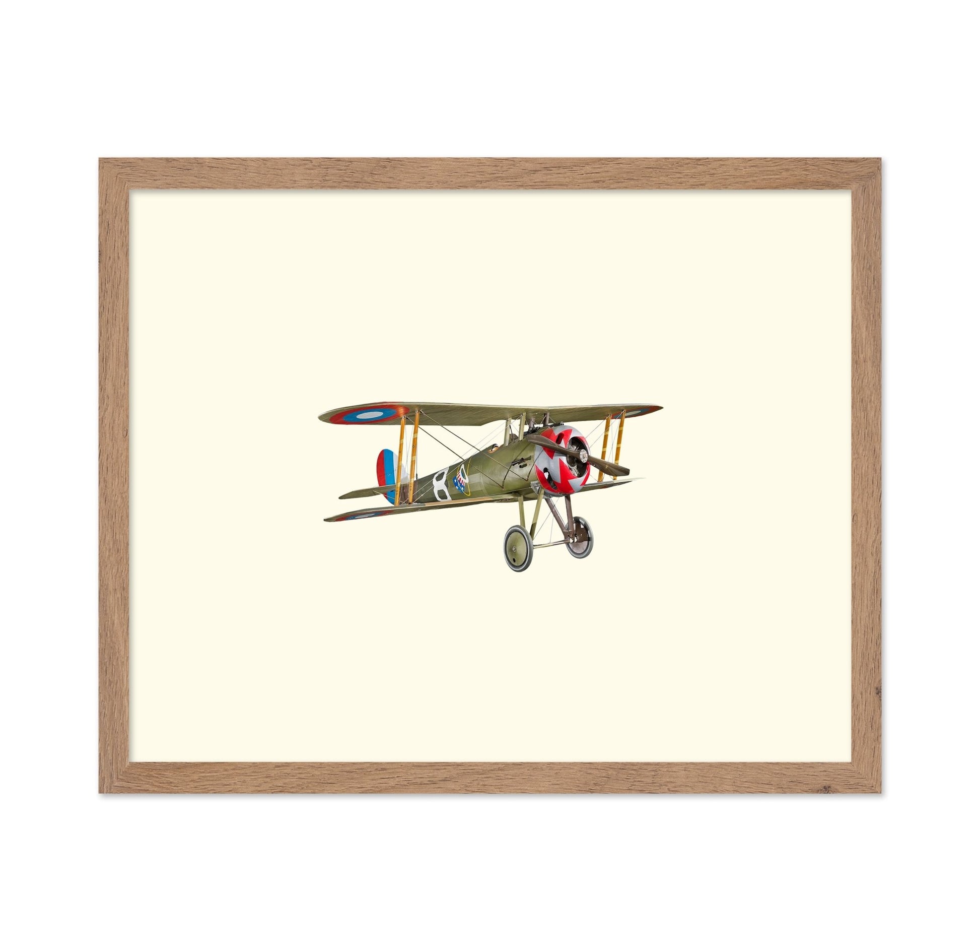 Vintage Biplane Aircraft