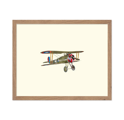 Vintage Biplane Aircraft