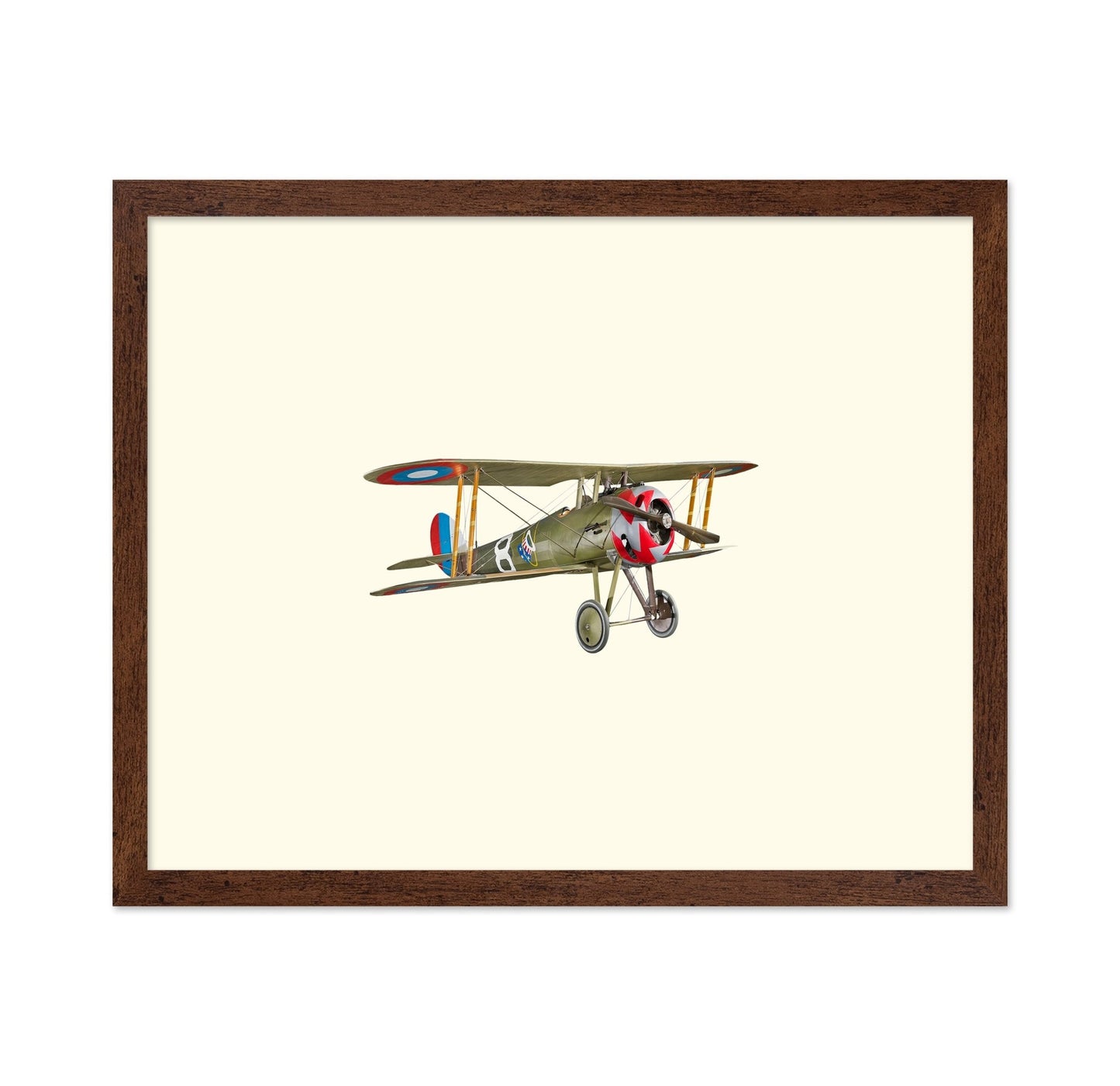Vintage Biplane Aircraft