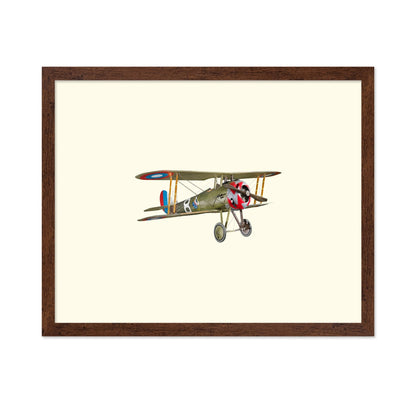 Vintage Biplane Aircraft