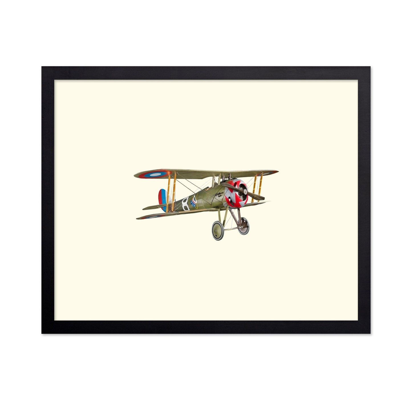 Vintage Biplane Aircraft