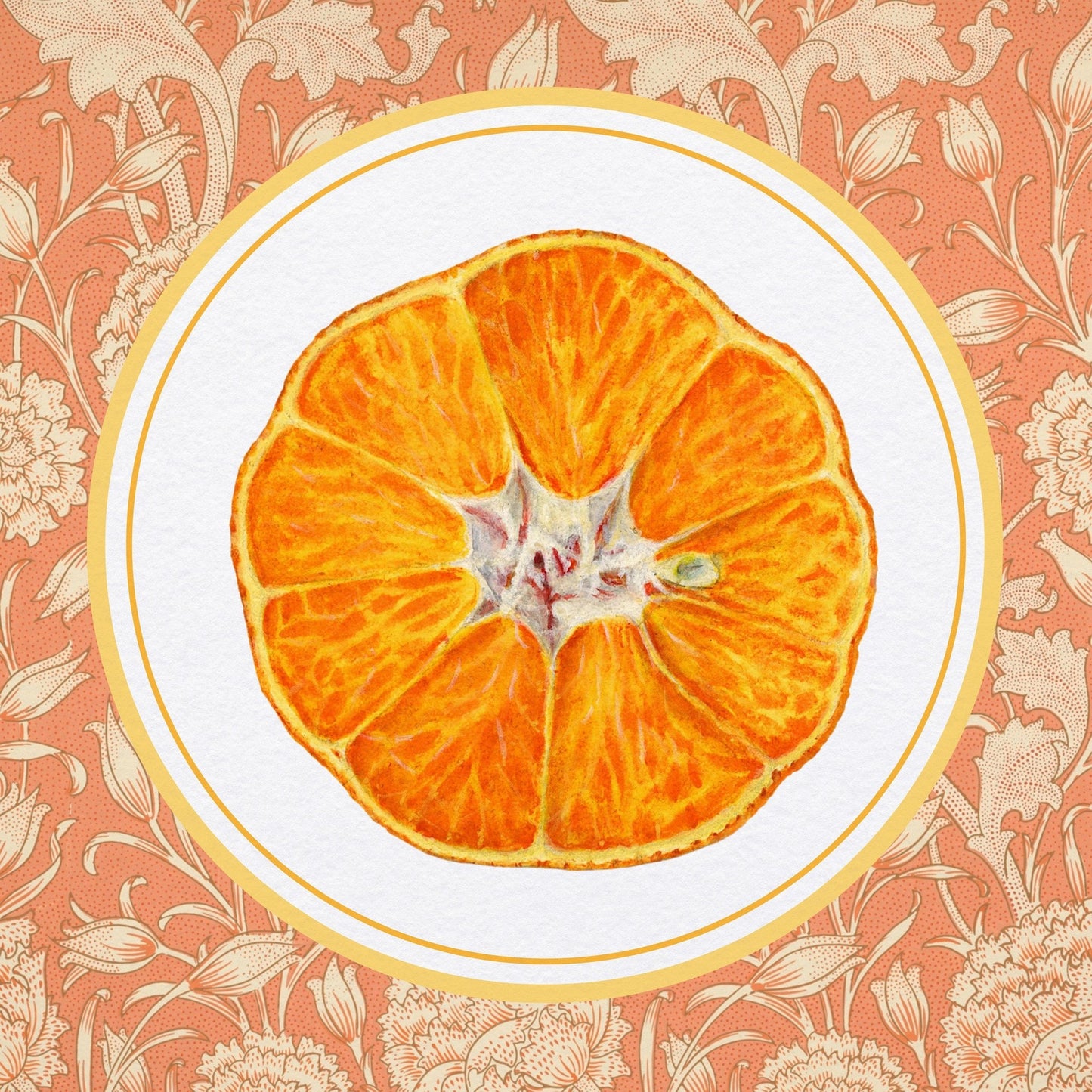 Orange Citrus Slice