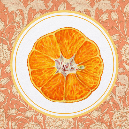 Orange Citrus Slice