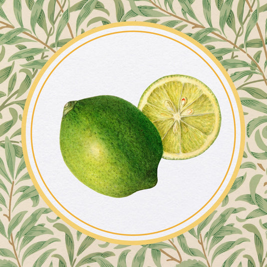 Fresh Lime Slice