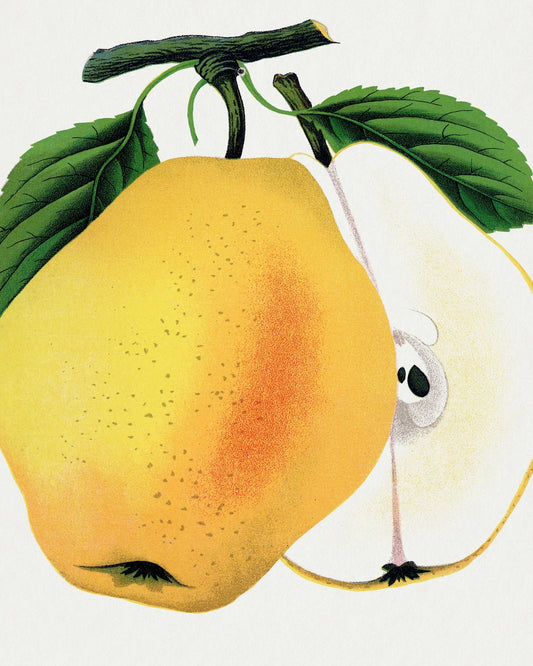 Golden Pear Slice