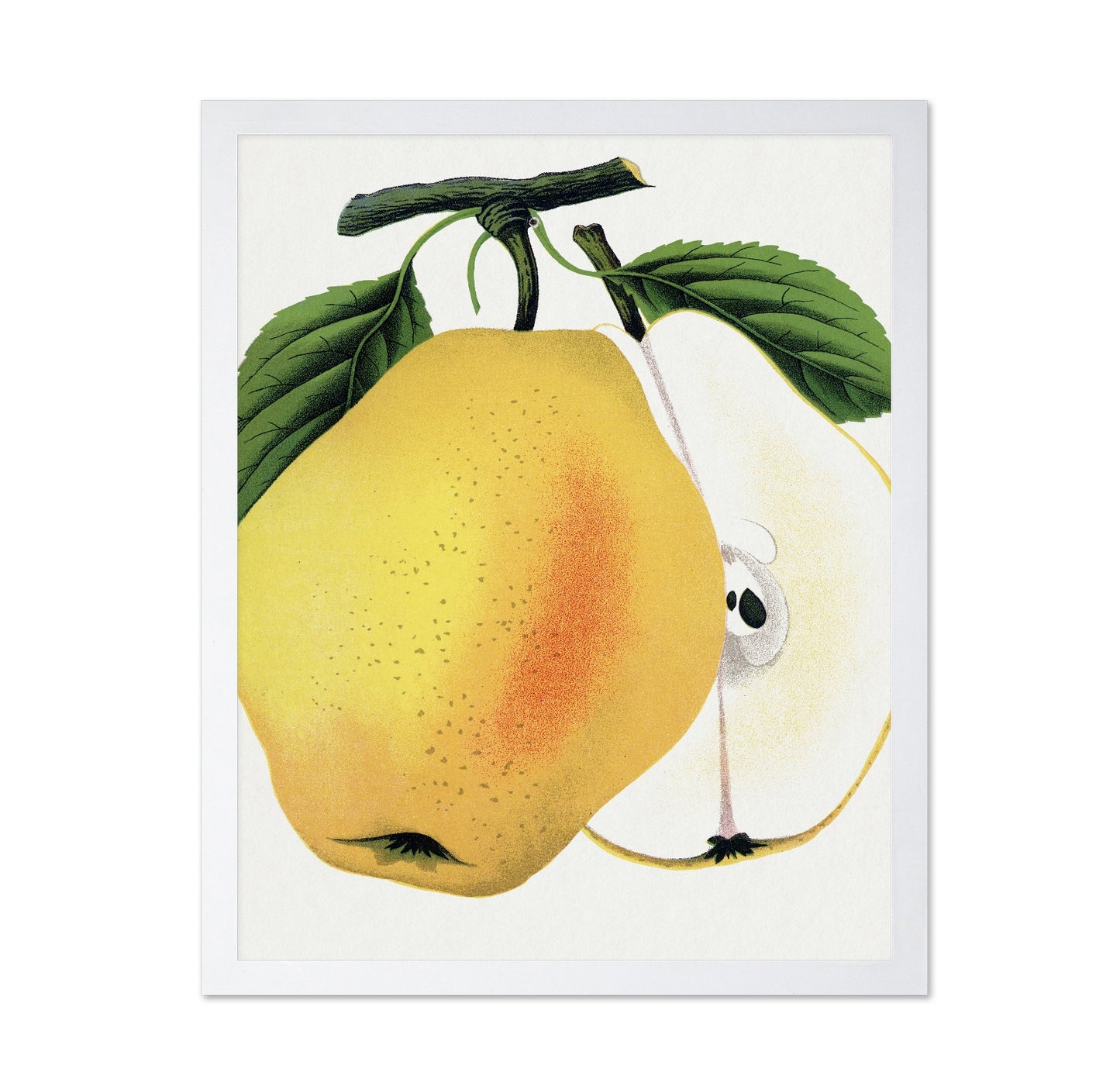 Golden Pear Slice