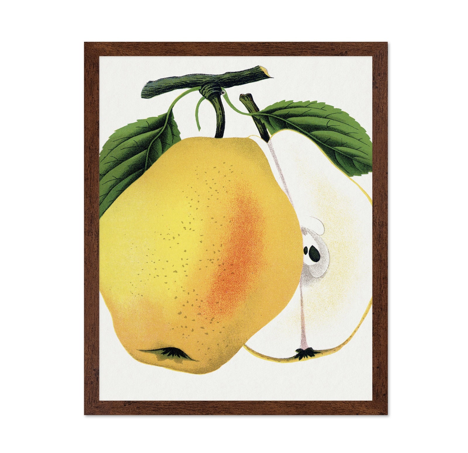 Golden Pear Slice