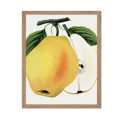 Golden Pear Slice