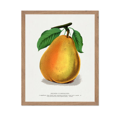 Golden Pear Fruit