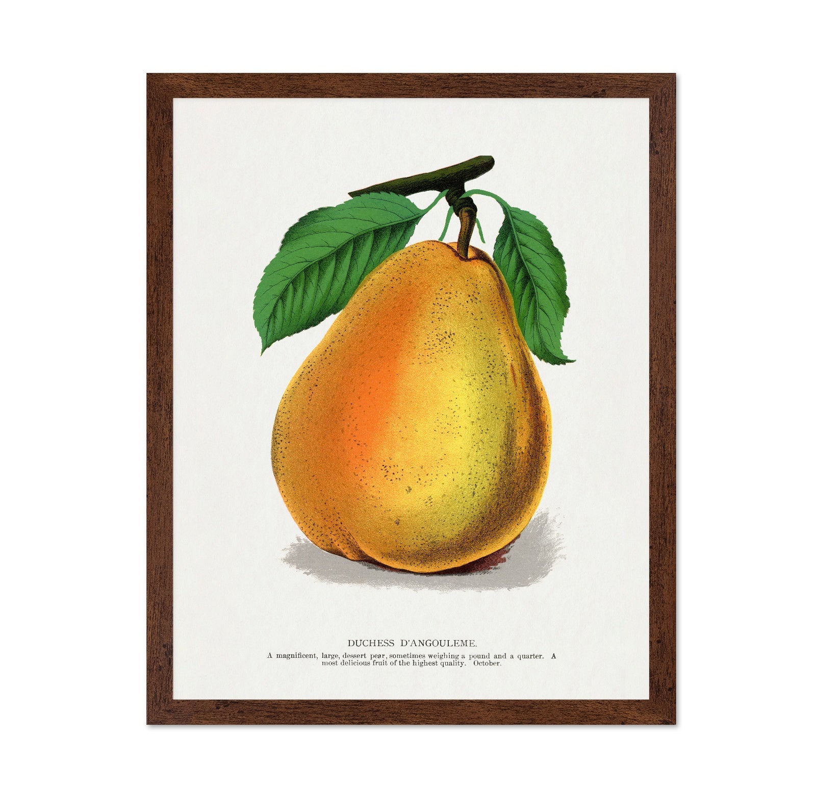 Golden Pear Fruit