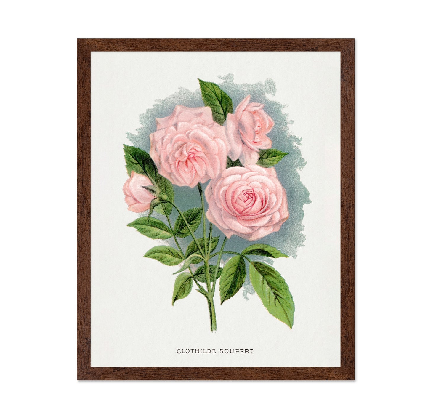 Soft Pink Rose Trio