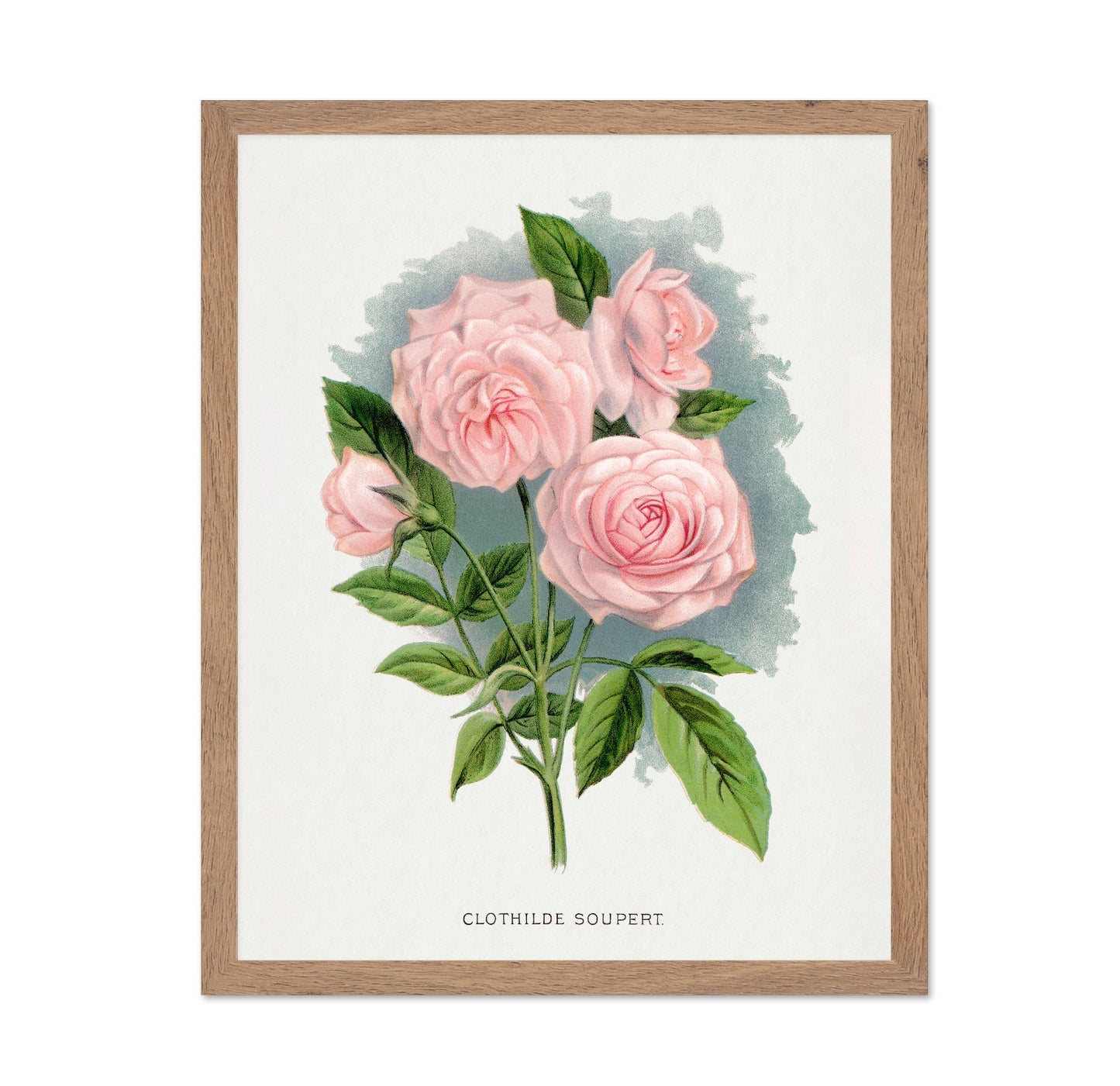 Soft Pink Rose Trio