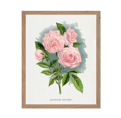 Soft Pink Rose Trio