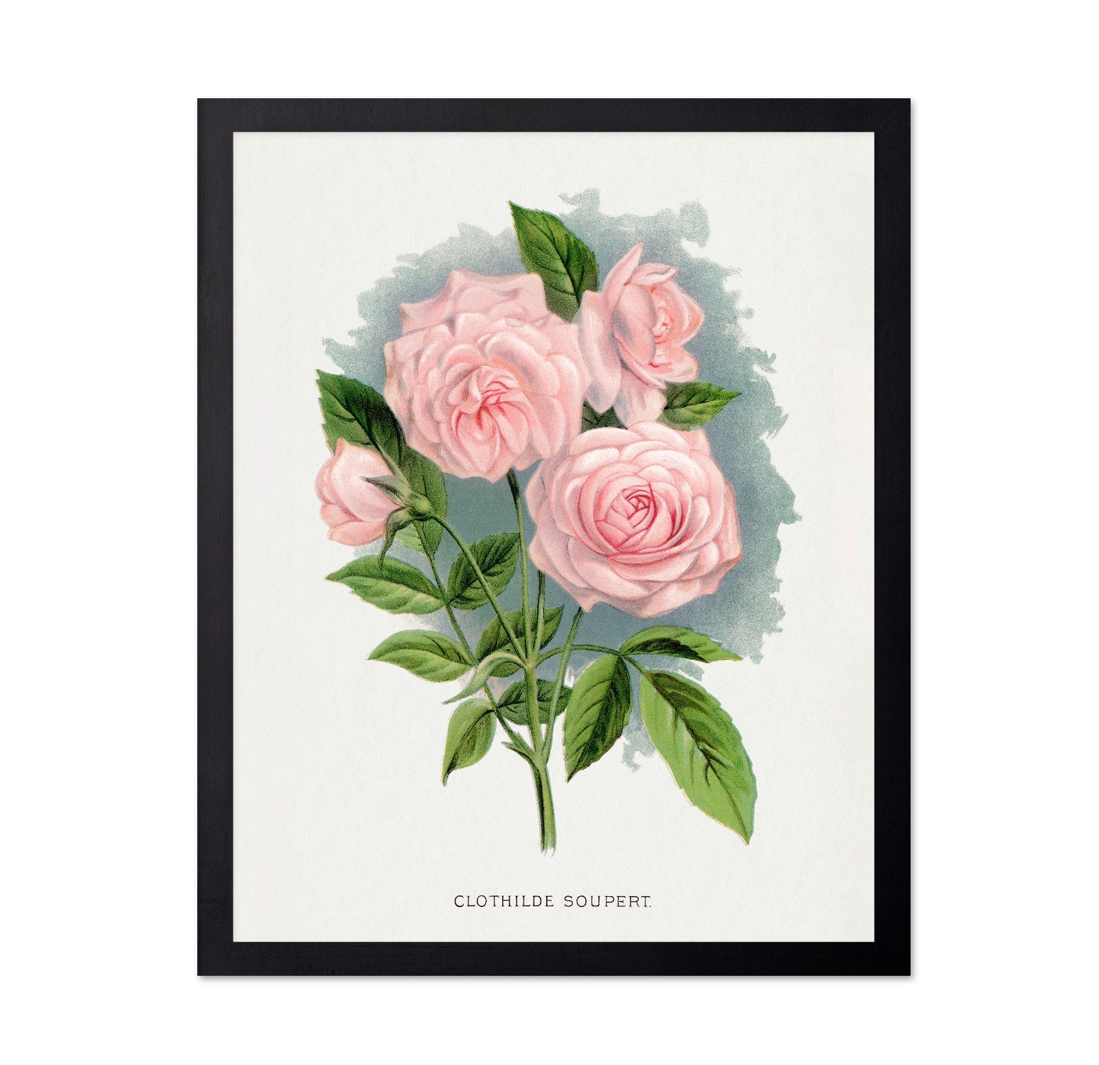 Soft Pink Rose Trio