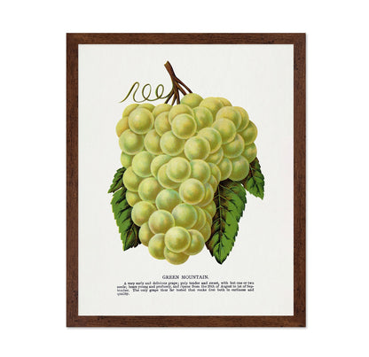 Vintage Green Grapes