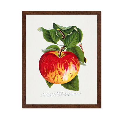 Vintage Red Apple