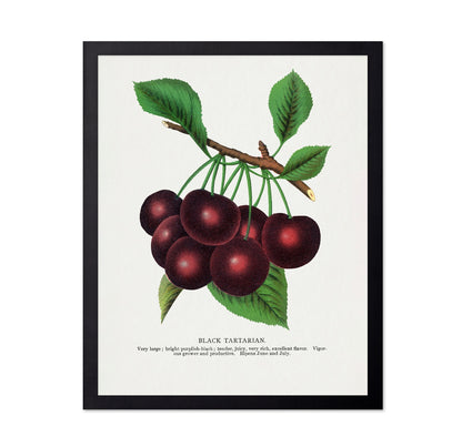 Vintage Cherry Cluster