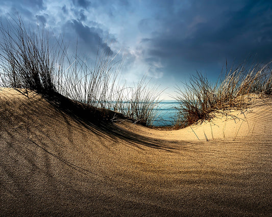 Coastal Sand Dunes