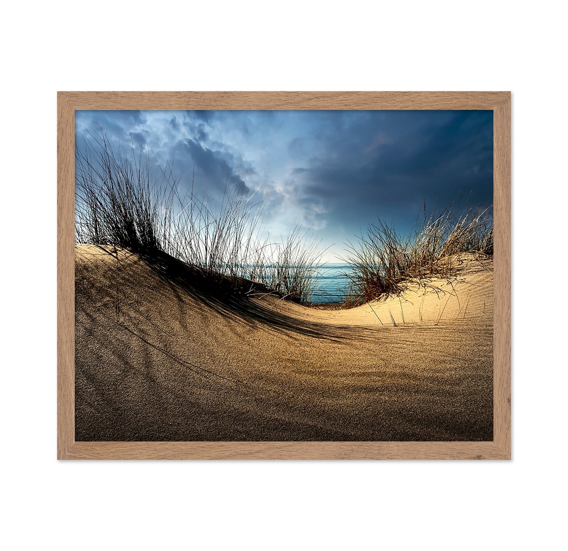 Coastal Sand Dunes