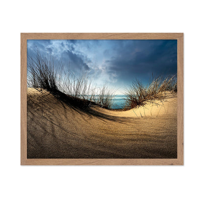 Coastal Sand Dunes