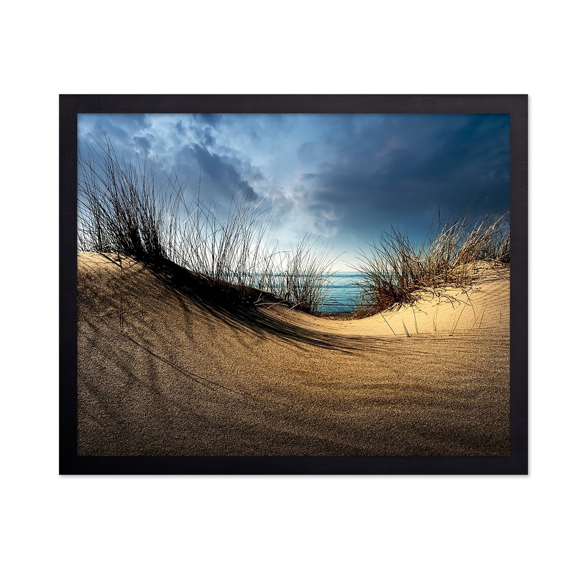 Coastal Sand Dunes