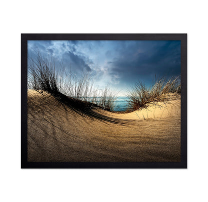Coastal Sand Dunes