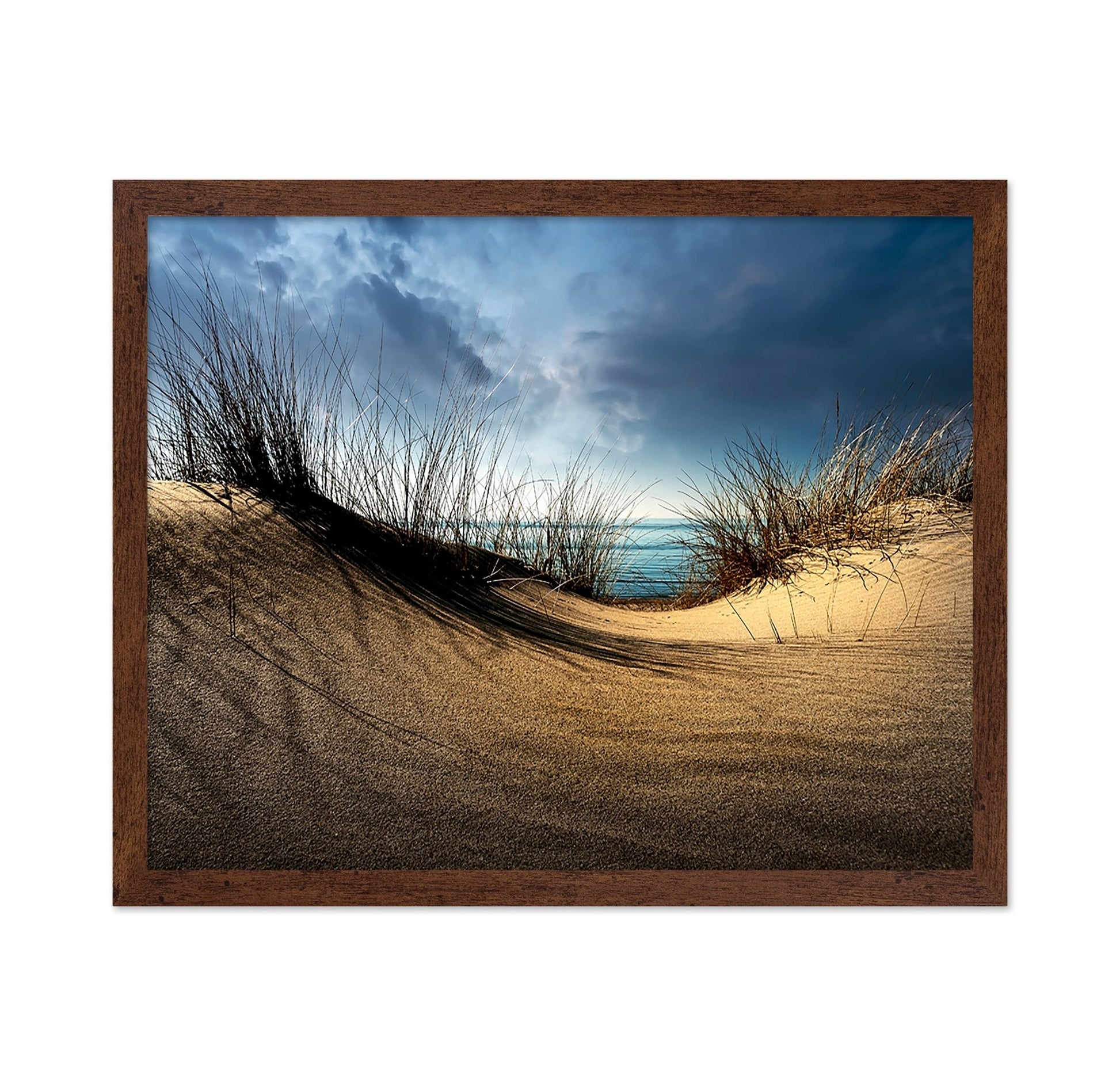 Coastal Sand Dunes