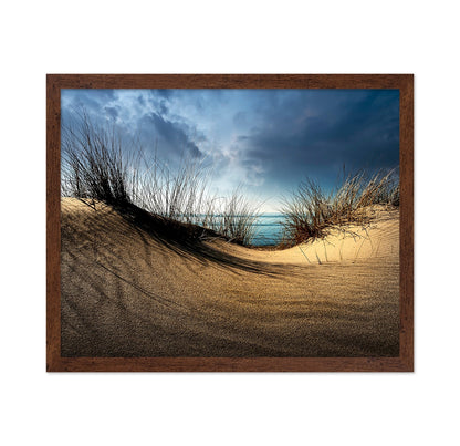 Coastal Sand Dunes