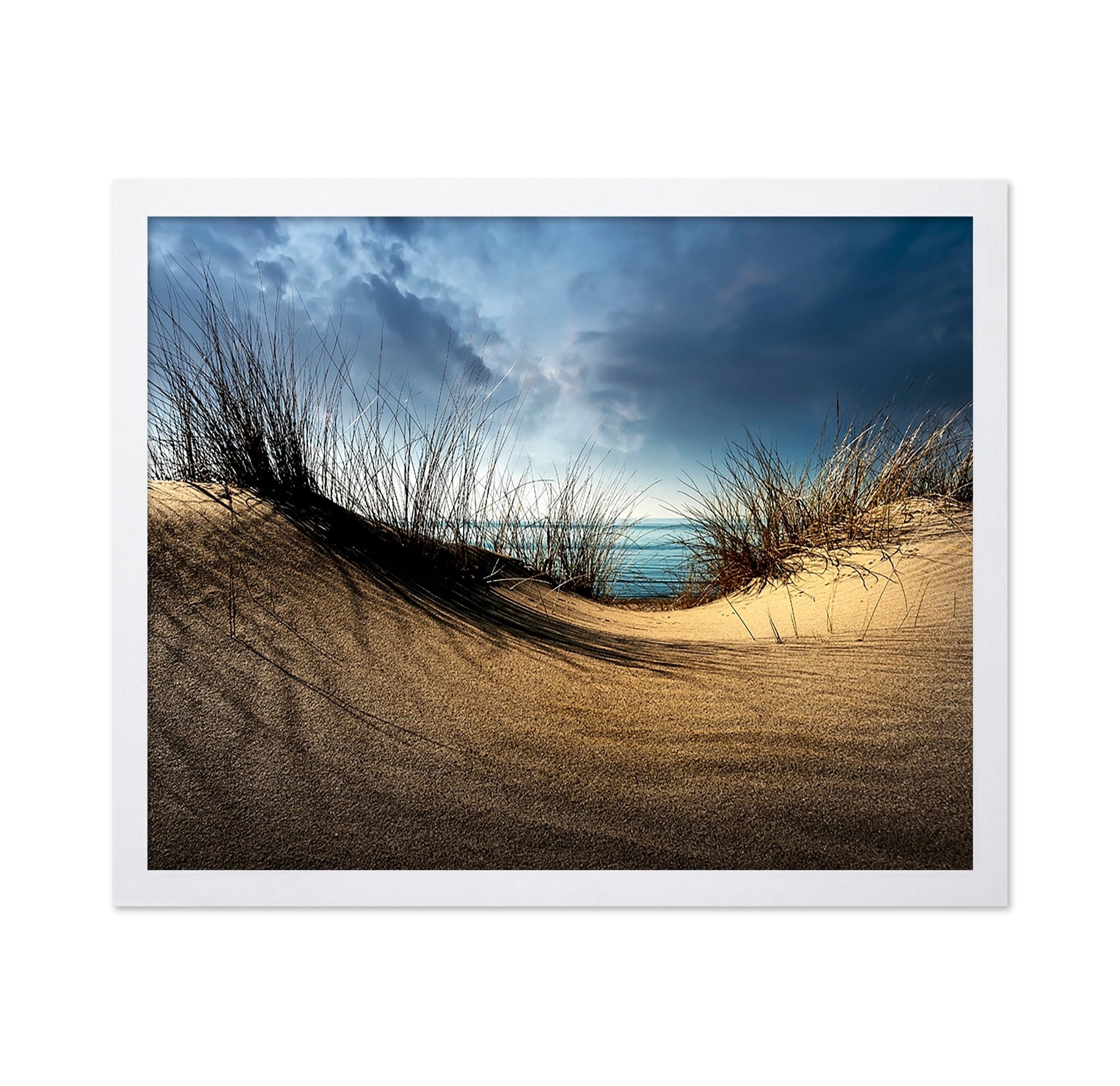 Coastal Sand Dunes