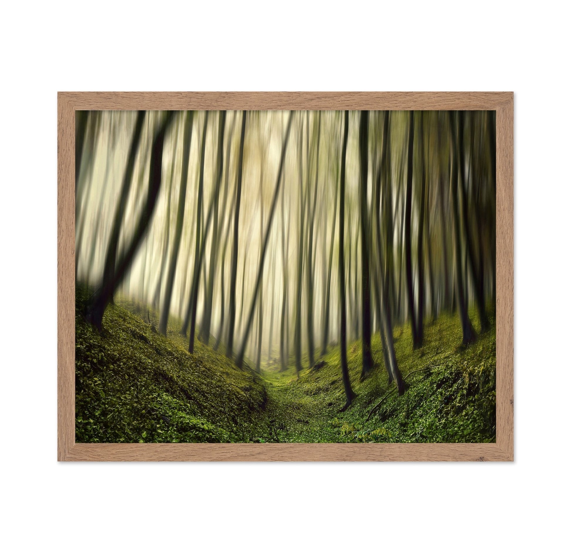 Blurred Forest Path