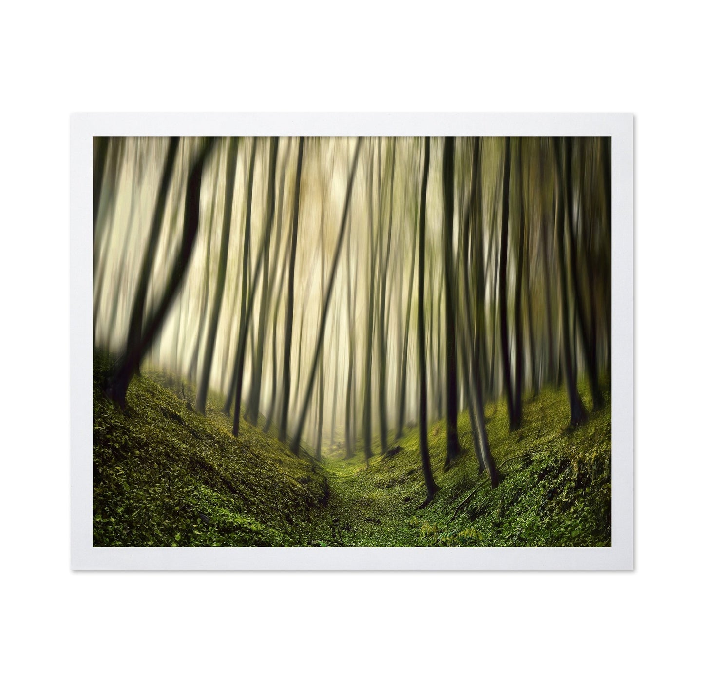 Blurred Forest Path