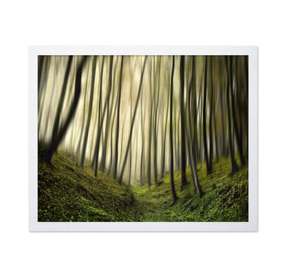 Blurred Forest Path