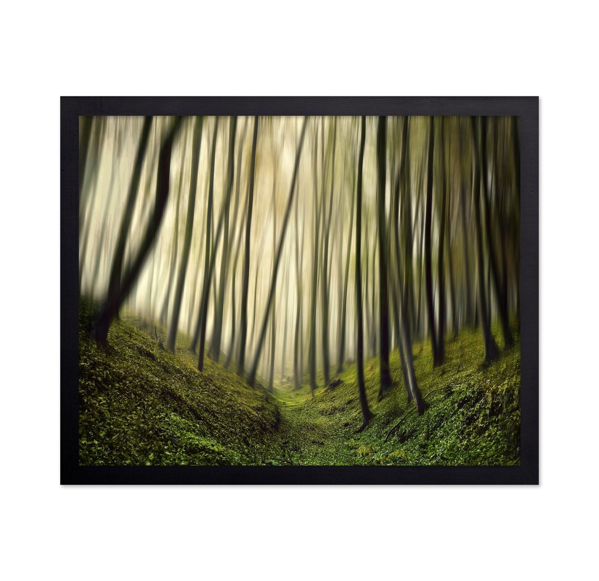 Blurred Forest Path