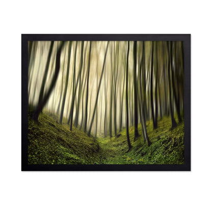 Blurred Forest Path