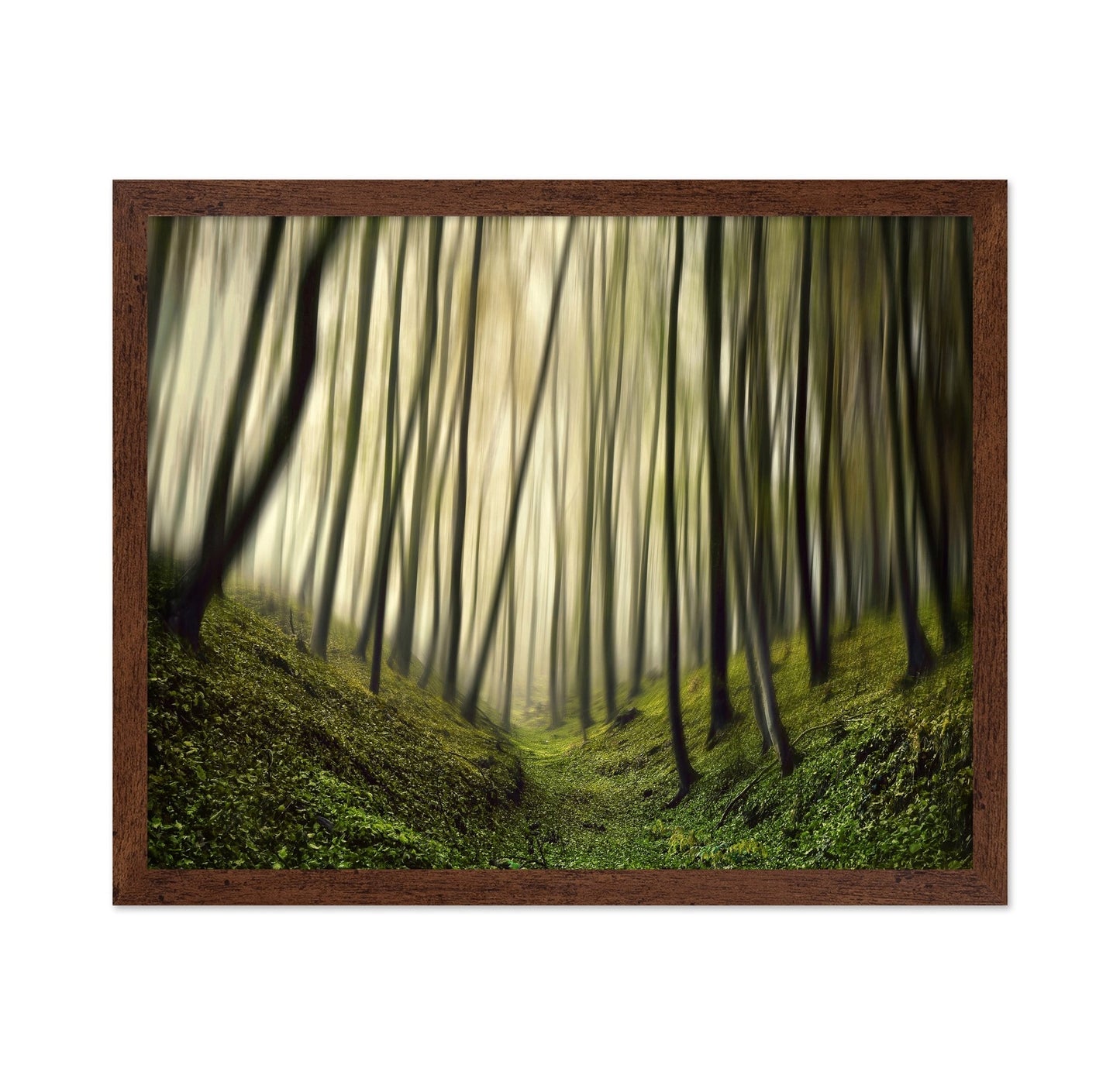 Blurred Forest Path