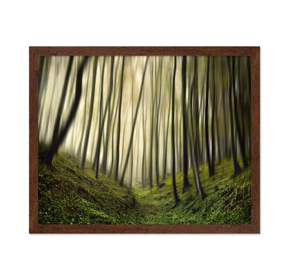 Blurred Forest Path