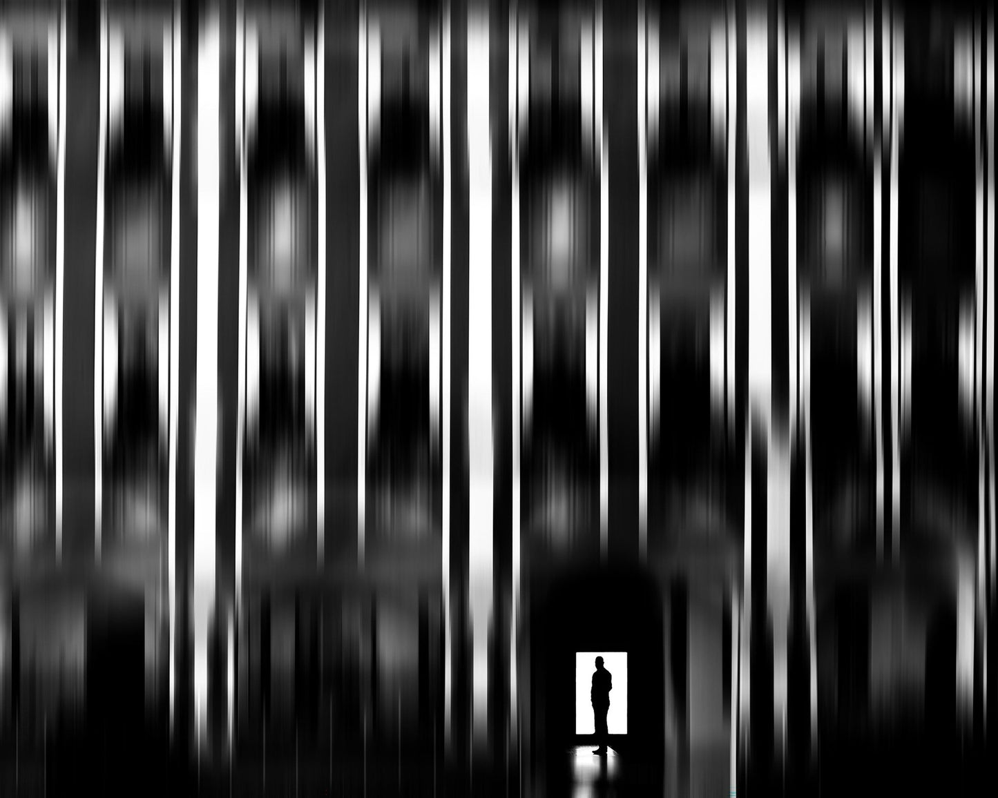 Light Lines Silhouette