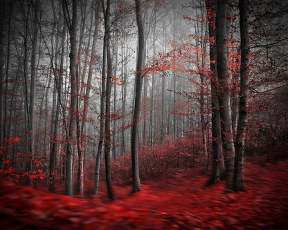 Red Forest Mist No2