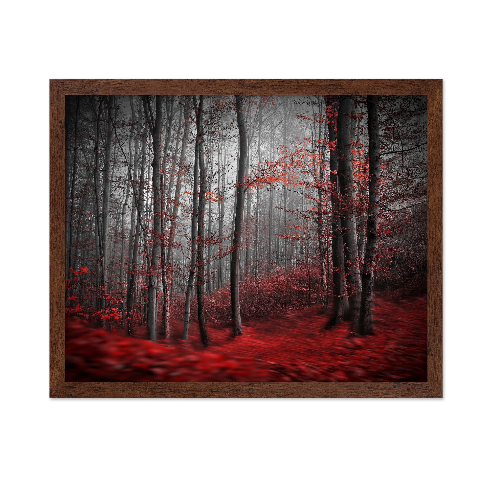 Red Forest Mist No2